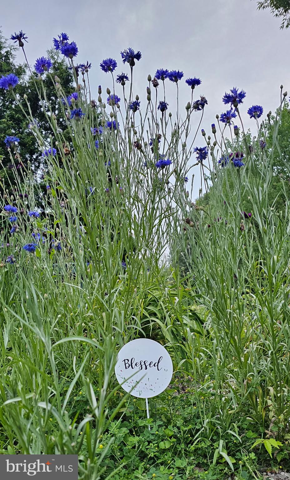 HERITAGE HEIGHTS - Residential