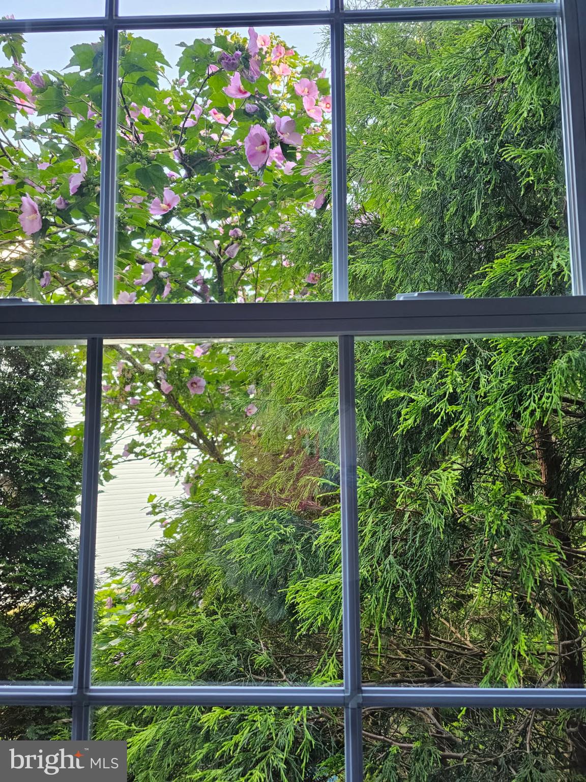 HERITAGE HEIGHTS - Residential