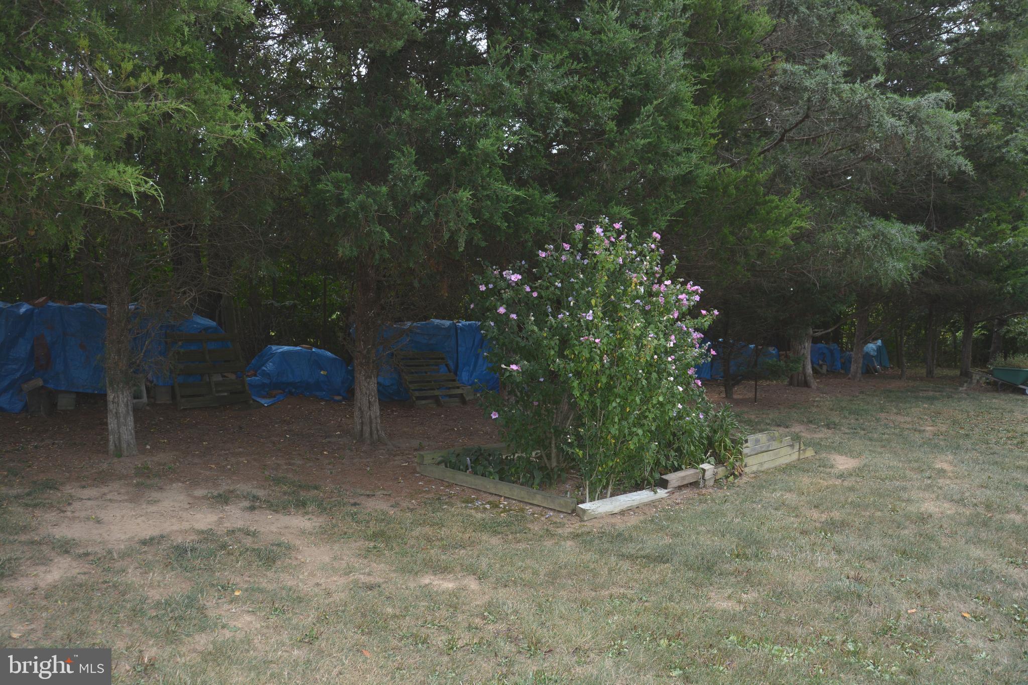 TEETS MILLER LAND - Residential