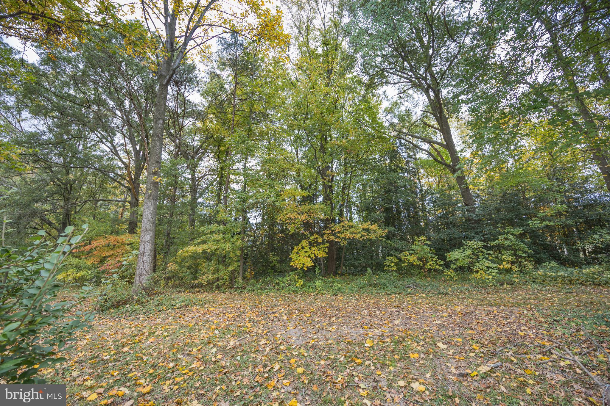 HEATHERFIELD EAST - Residential