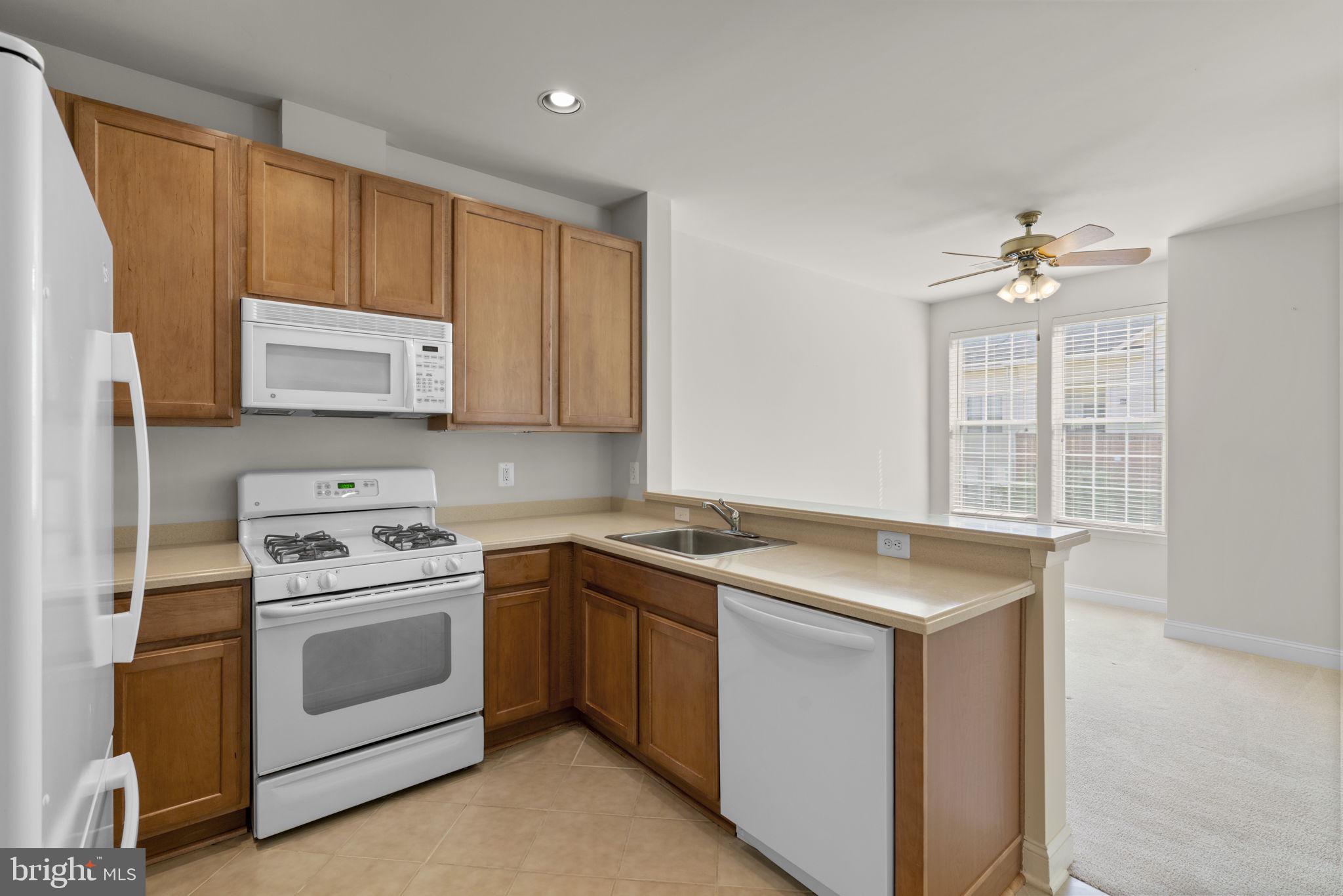 ENCLAVE AT ELLICOTT HILLS - Residential