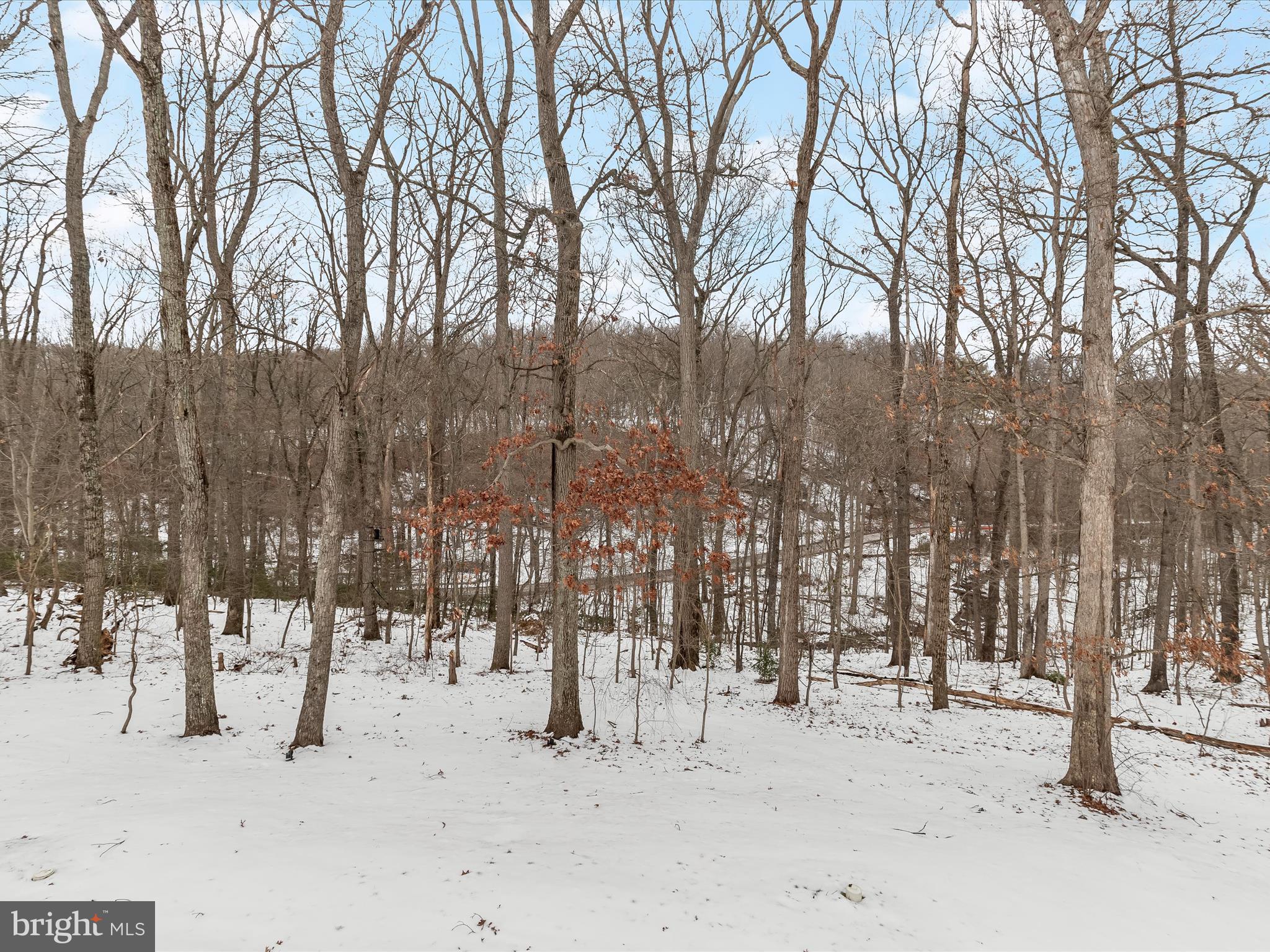 CHALET DE LA RANCE - Residential