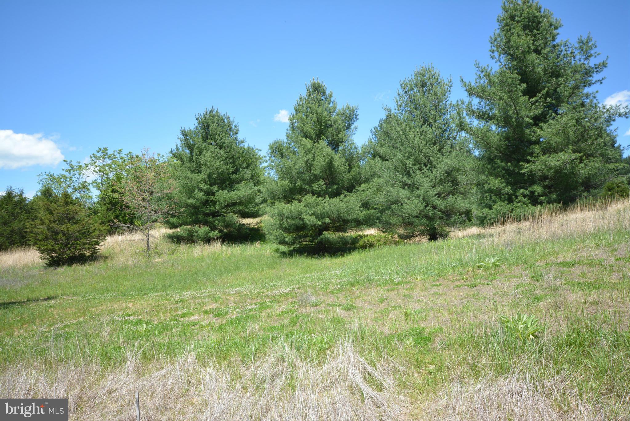 HOLIDAY PLANTATION - Land