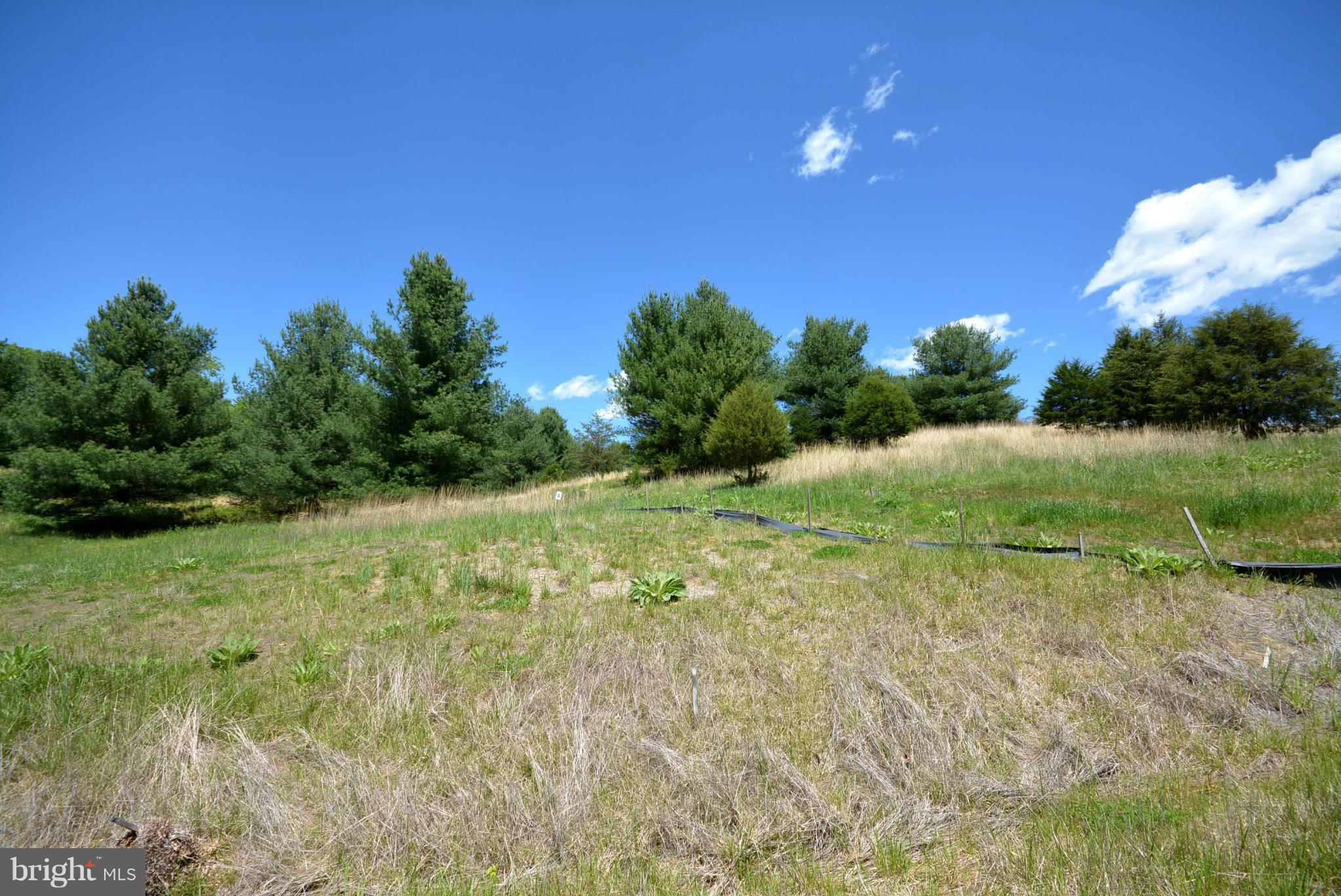 HOLIDAY PLANTATION - Land