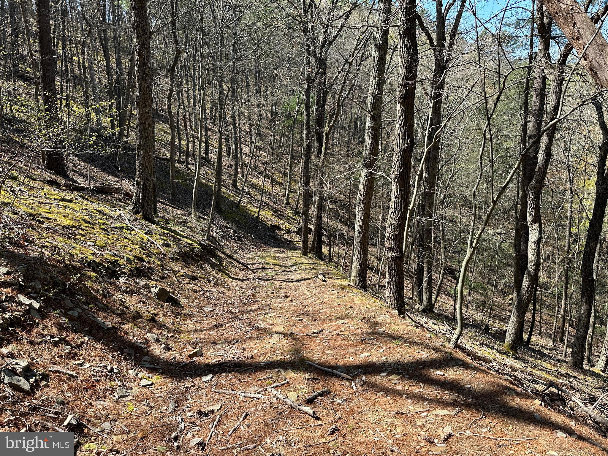 EAGLE BAY PROPERTIES - Residential