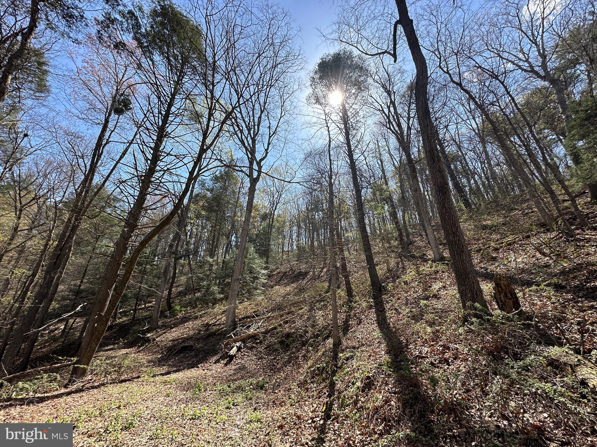 EAGLE BAY PROPERTIES - Residential