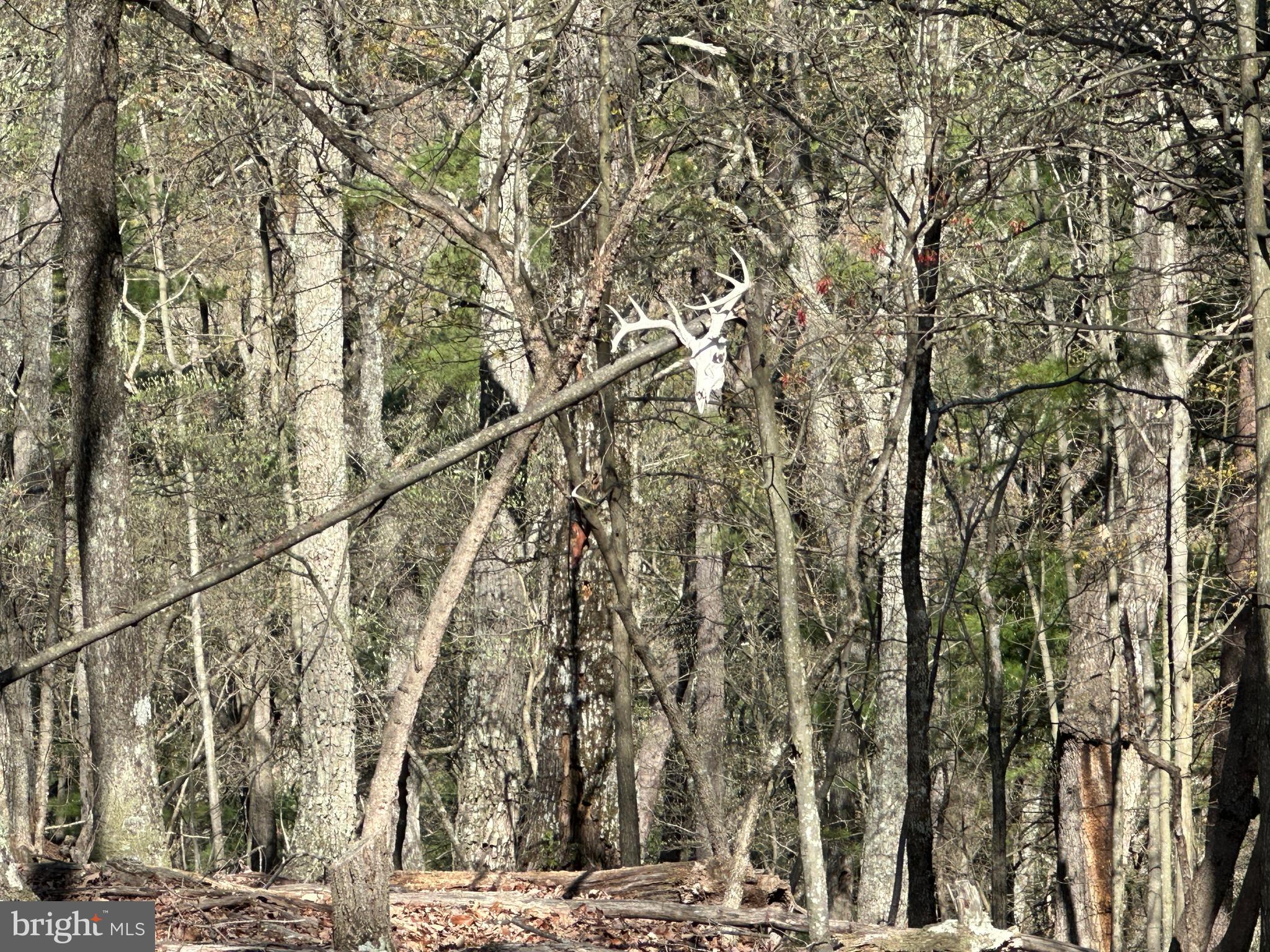 EAGLE BAY PROPERTIES - Residential