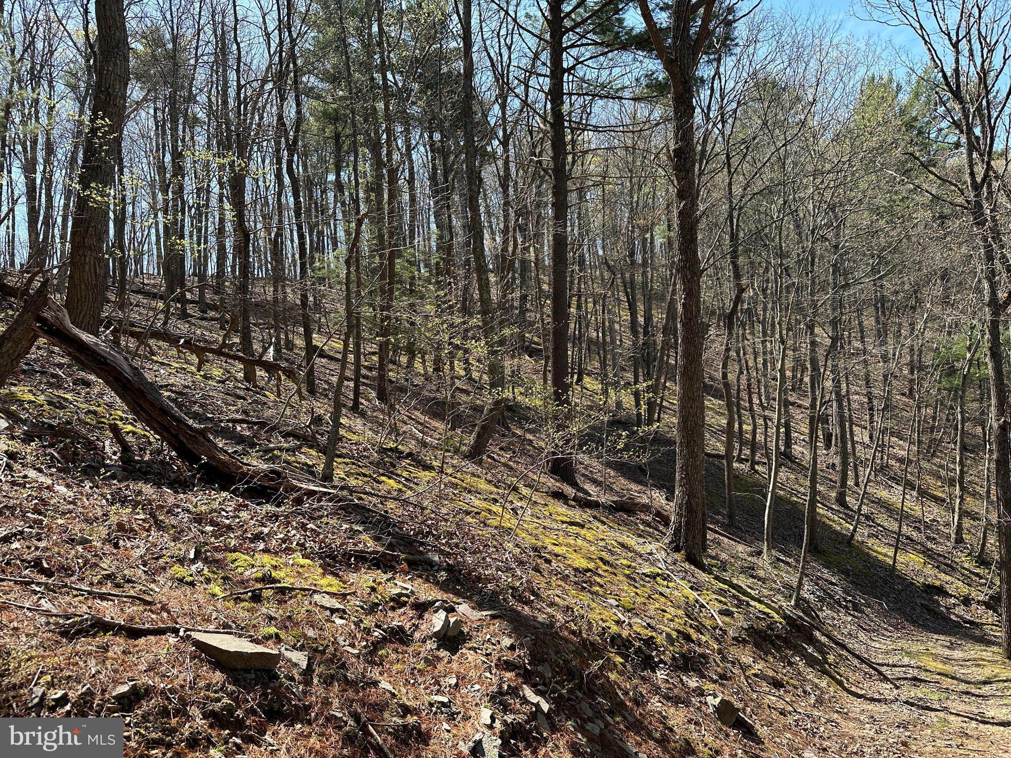 EAGLE BAY PROPERTIES - Residential