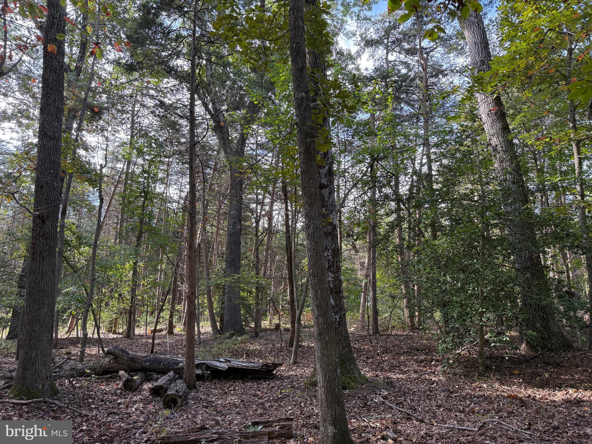 WILDWOOD ON LAKE ANNA - Land