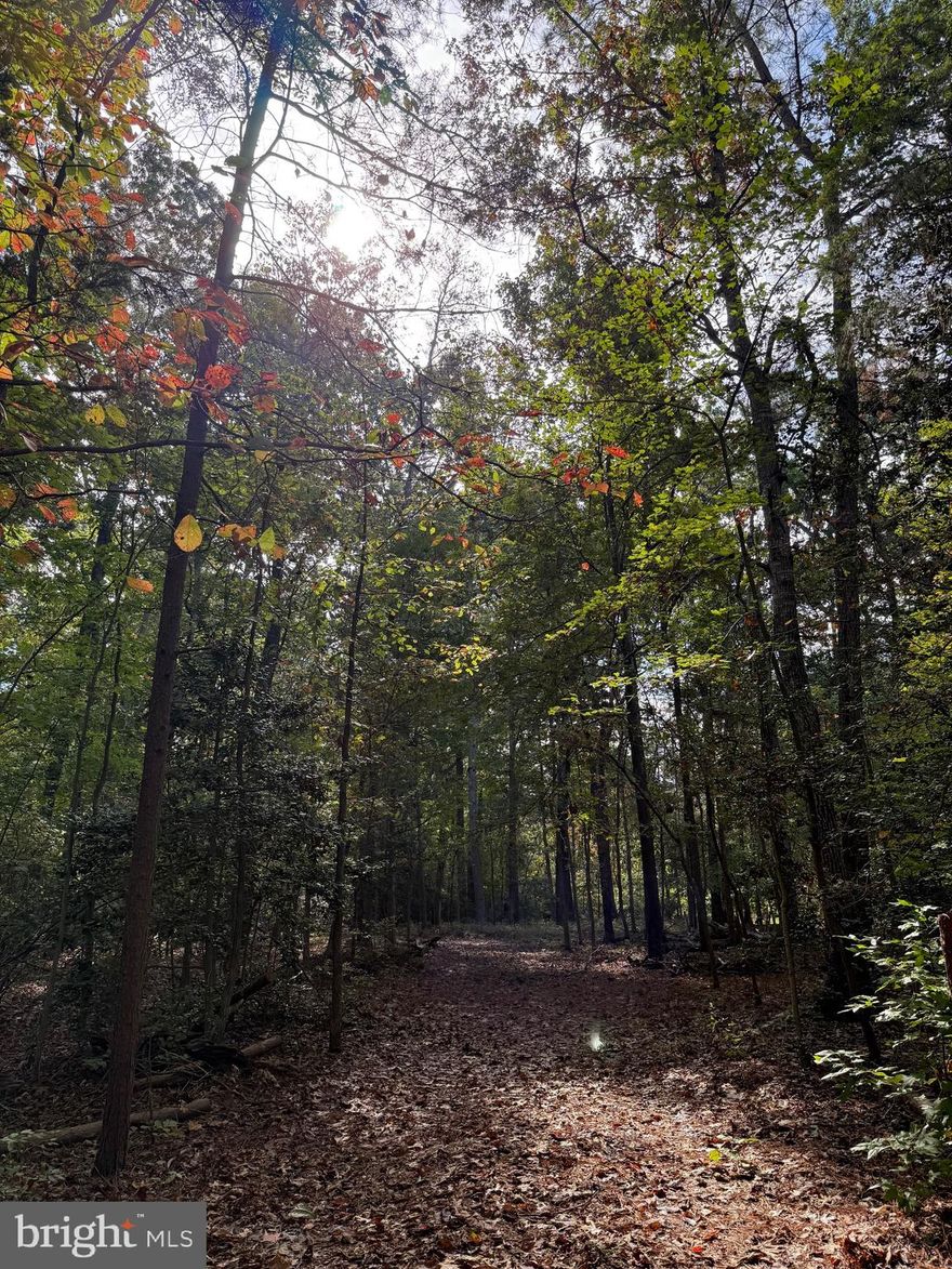 Welcome to your future homesite in the well-maintained  and gated community of Wildwood on Lake Anna.  This exceptional building lot offers 3.45 acres of level ground providing more flexibility to choose  your house site. A mixture of hardwood towards the front and pines towards the back will ensure your privacy if desired.  Much of the prep has been done to jumpstart your build: a culvert pipe and driveway are installed, and a soil evaluation has been completed, confirming suitability for a 4-bedroom conventional septic system—saving you both time and money. Whether you're planning a primary residence, weekend escape, or investment property, this exceptional lot is a rare opportunity for large outdoor living, privacy and convenience. Just minutes from grocery, gas, vet, cidery, dining and more. Soil docs, plat and CC&R's in listing docs. Much of the underbrush has been cleared making it easy to walk.