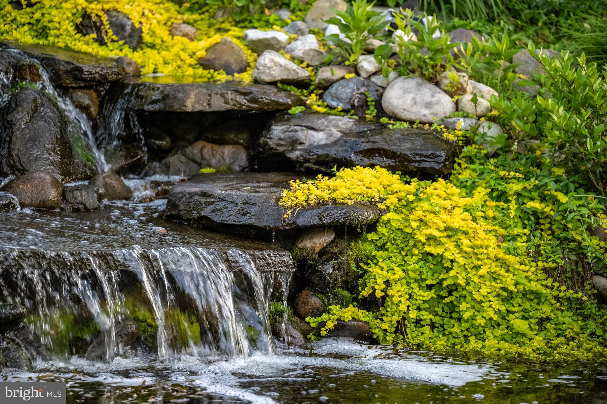LIGHTHOUSE SOUND - Residential