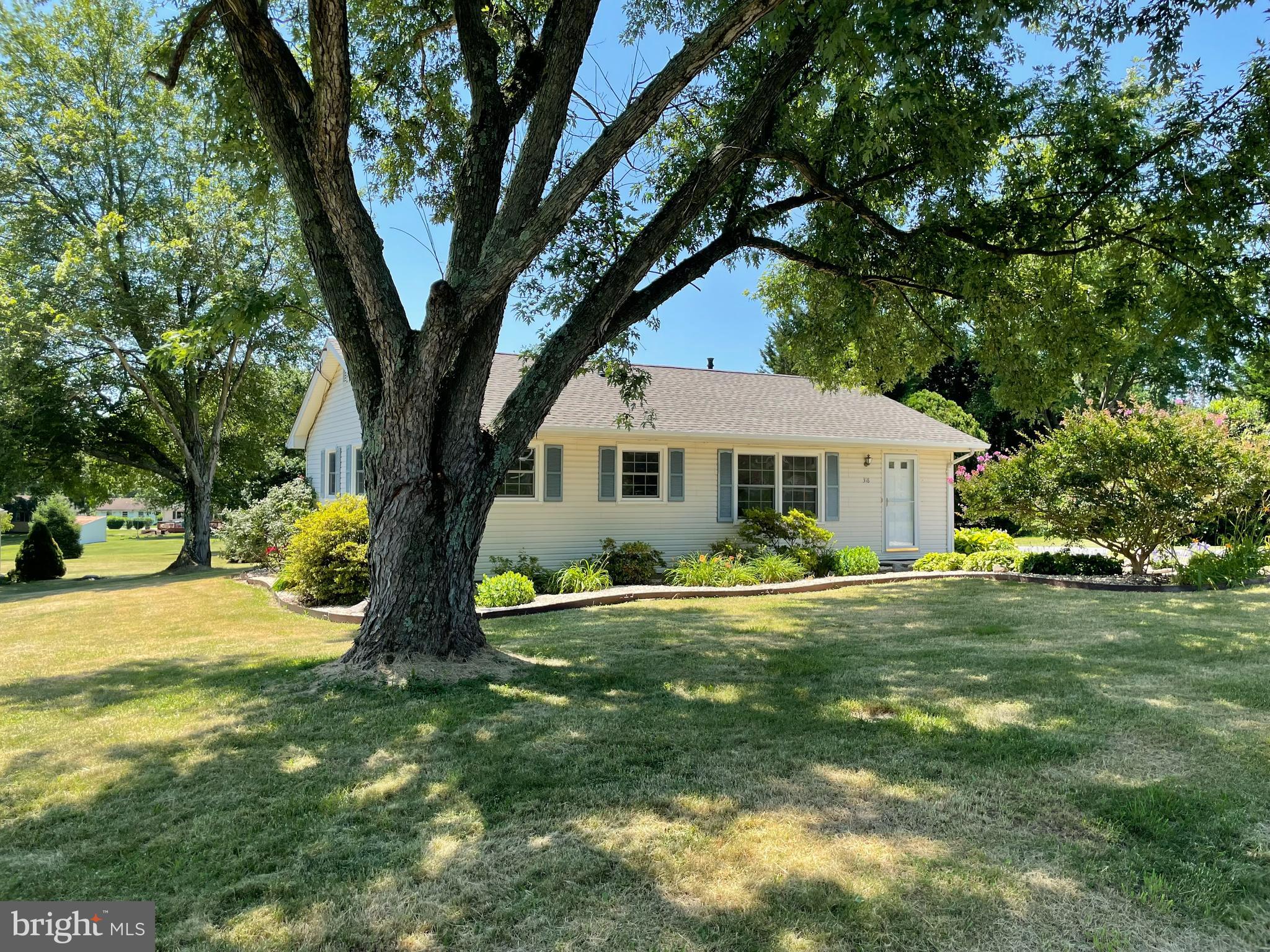 WASHINGTON PARK - Residential