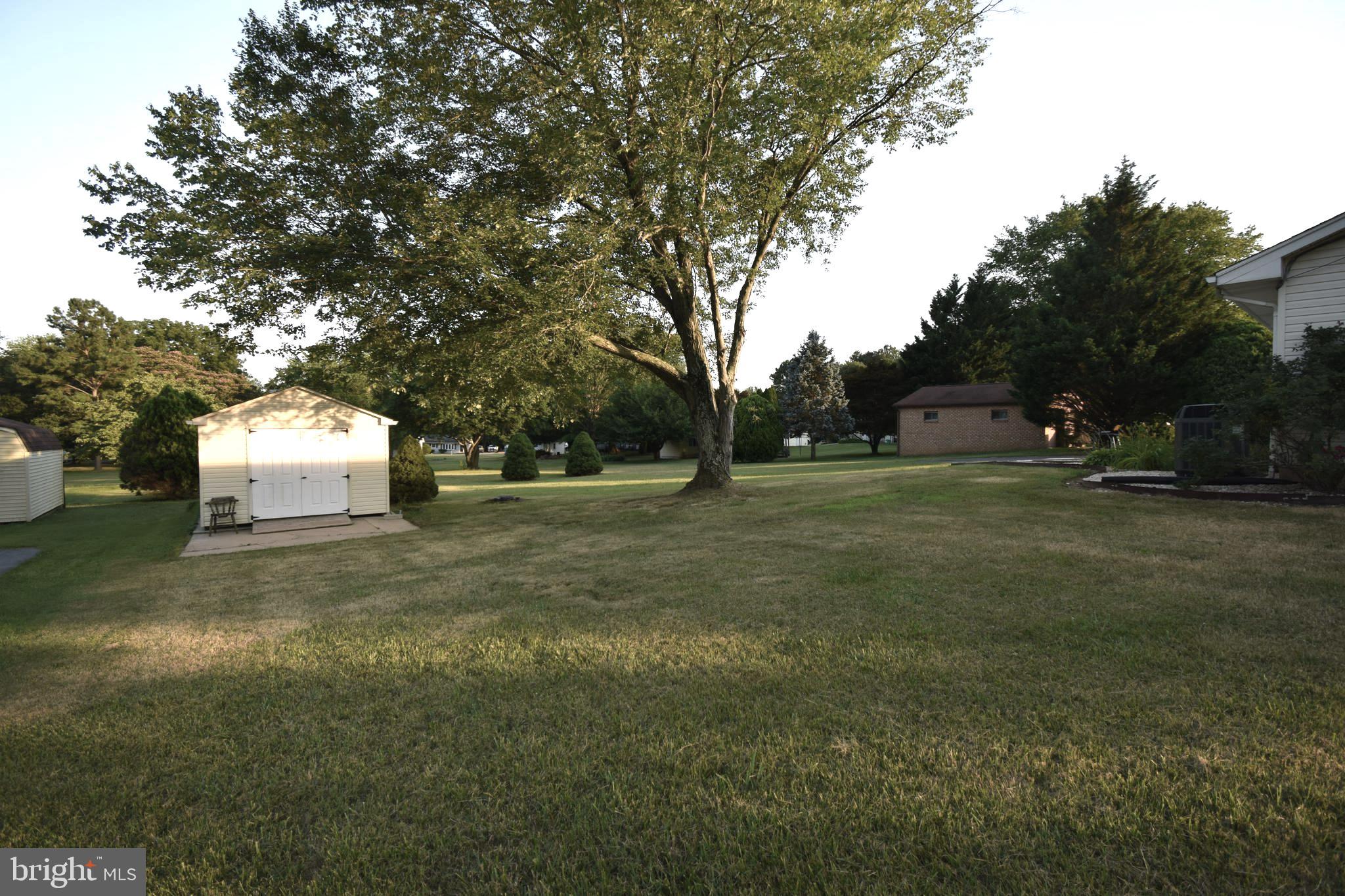 WASHINGTON PARK - Residential