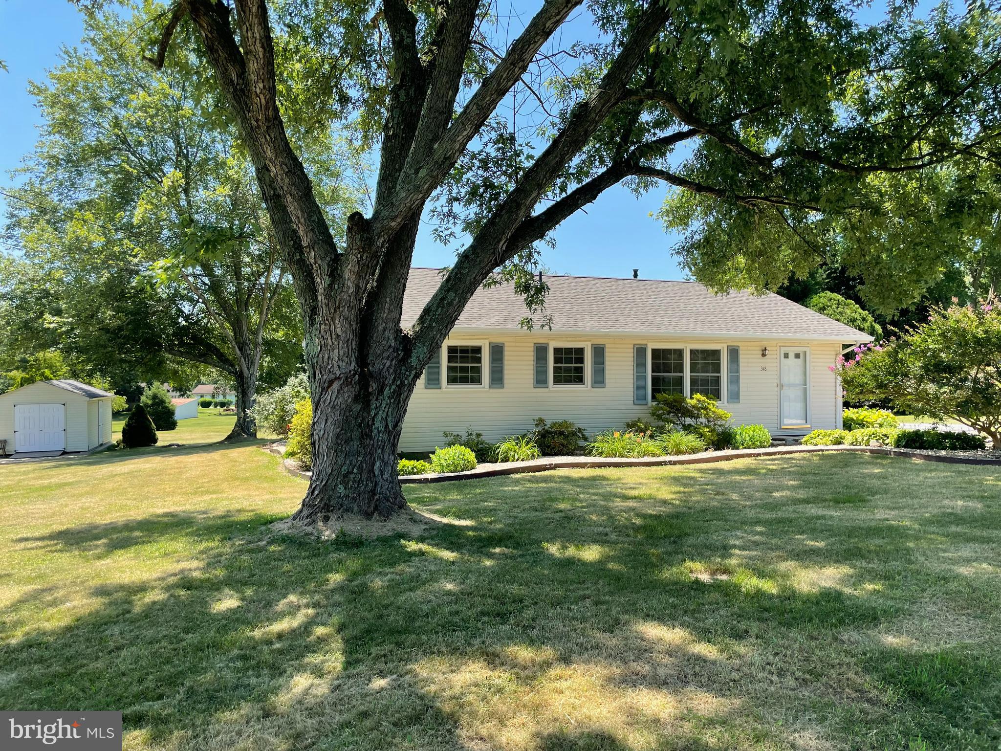 WASHINGTON PARK - Residential