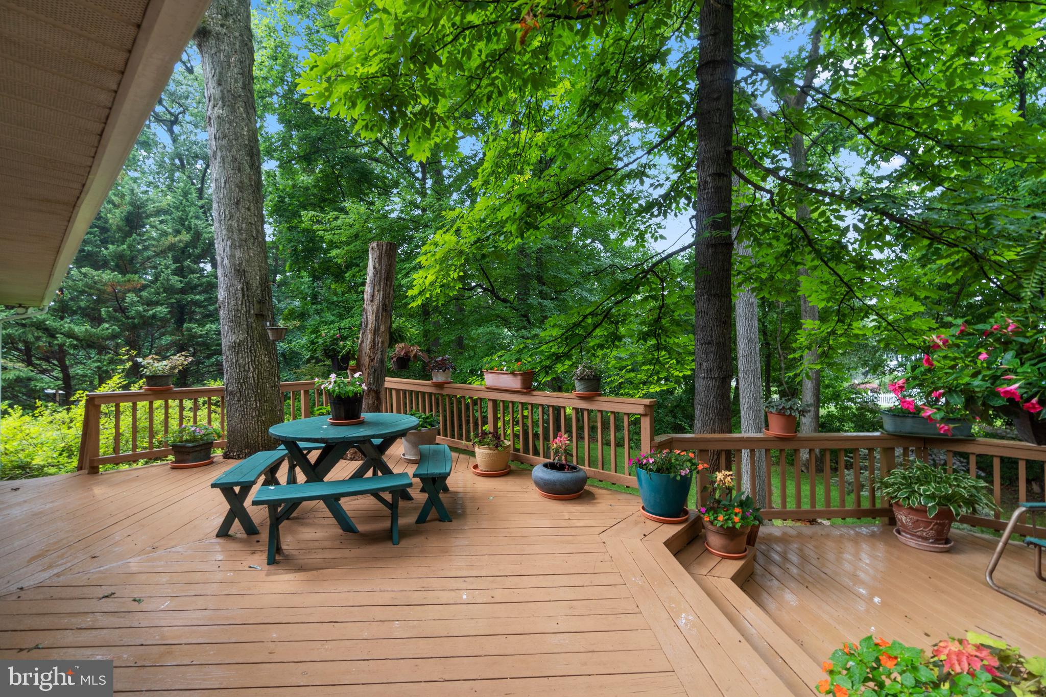 CARROLL SQUARE - Residential