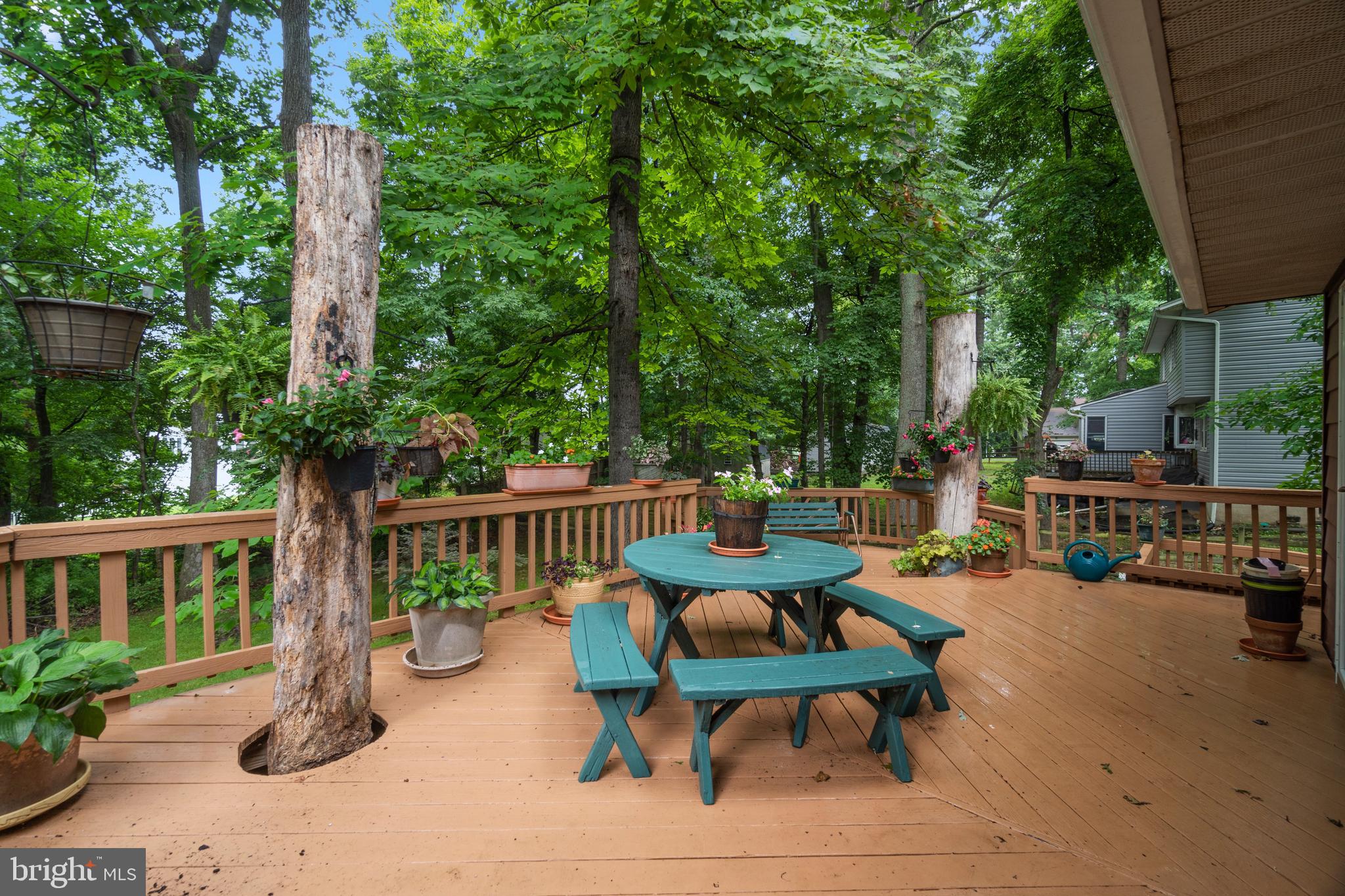 CARROLL SQUARE - Residential