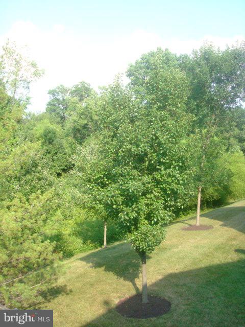 VILLAGE OF LONG REACH - Residential Lease