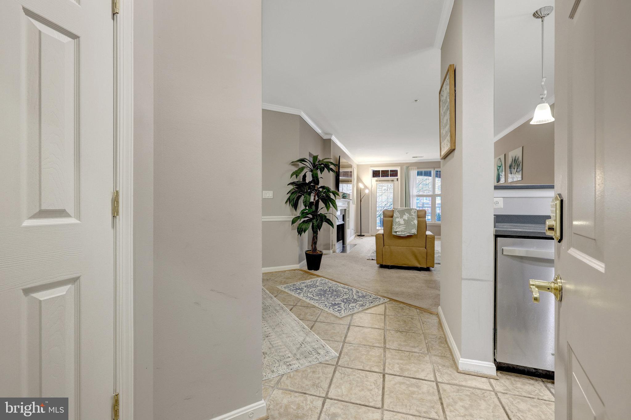 8181 CARNEGIE HALL COURT 205