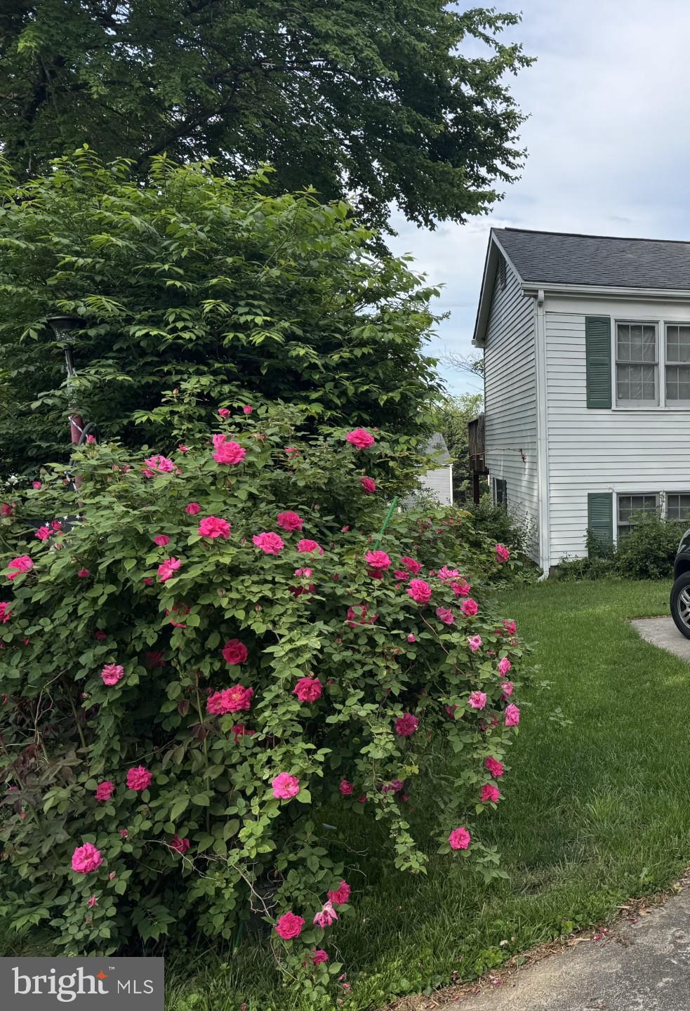 STONEGATE FARMS - Residential