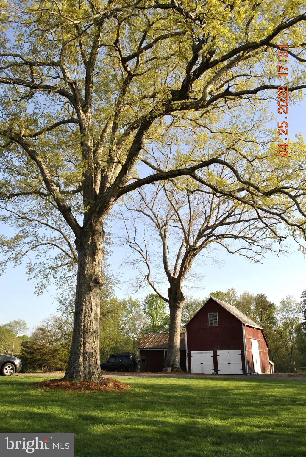 CLIFTON - Residential