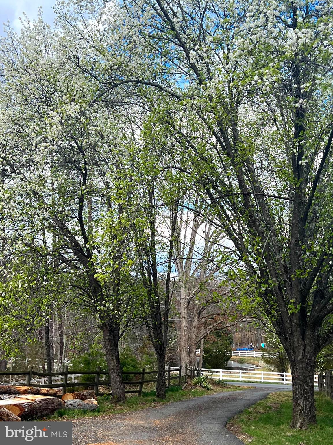 CLIFTON - Residential