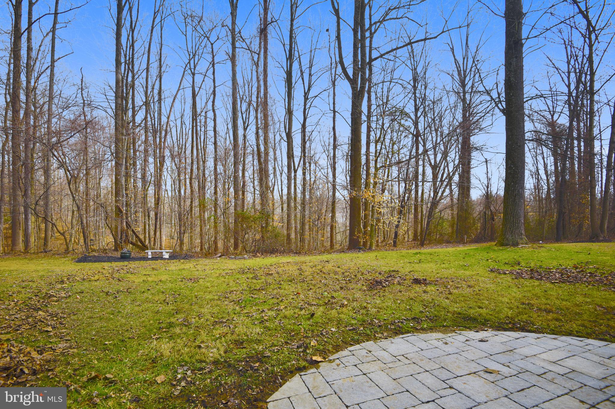 CONSTANT FRIENDSHIP - Residential