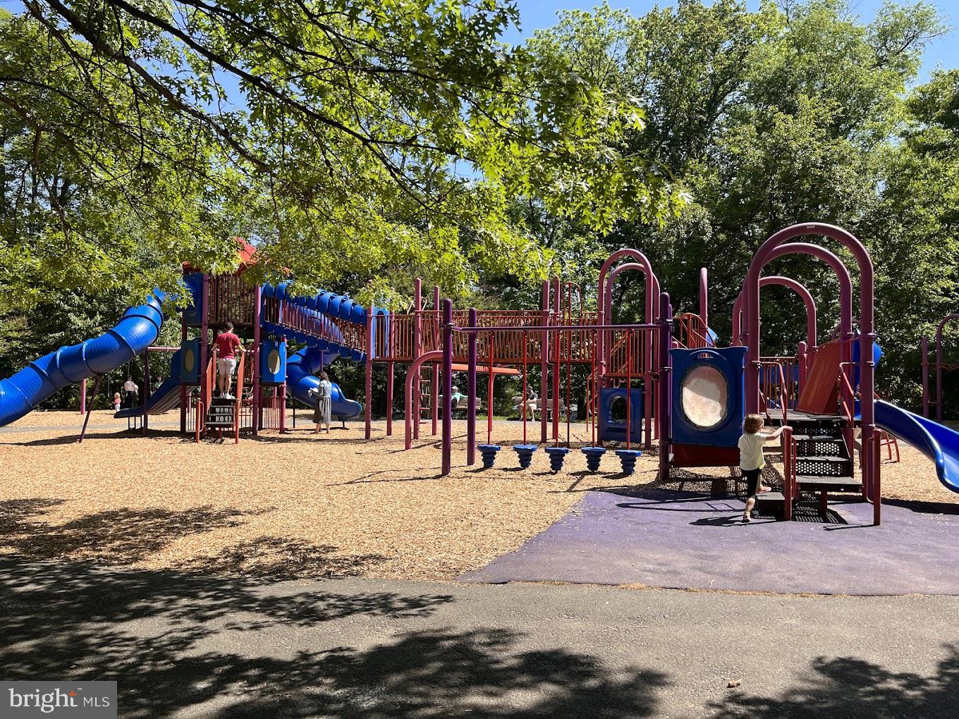 WILLIAMSBURG VILLAGE - Residential