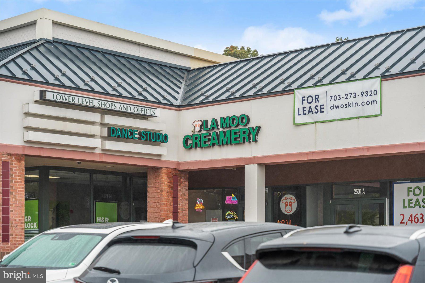 WILLIAMSBURG VILLAGE - Residential