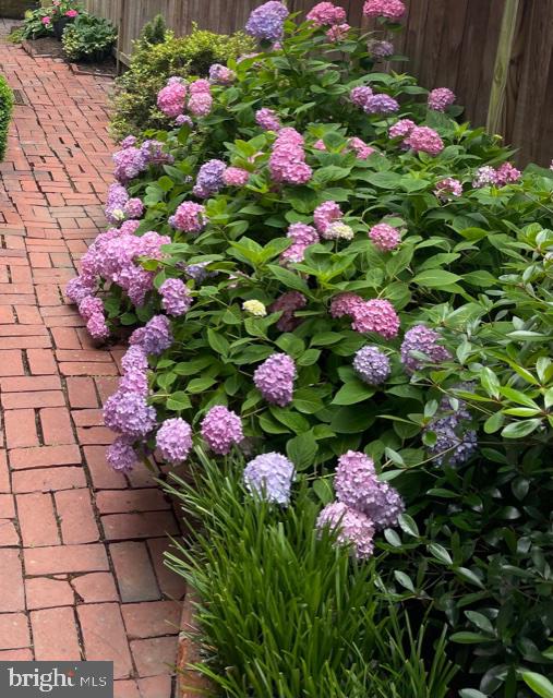 OLD TOWN ALEXANDRIA - Residential