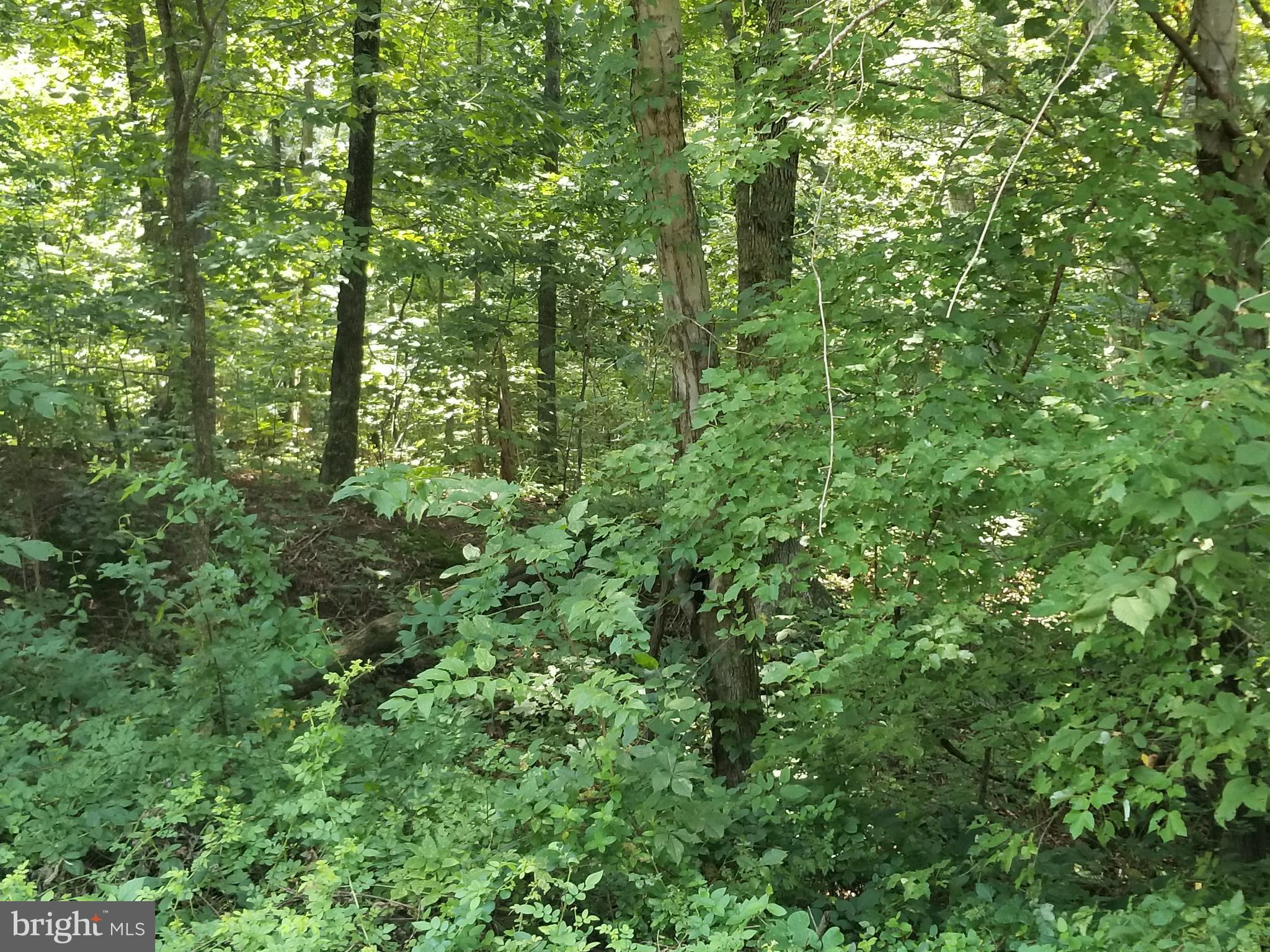 NONE AVAILABLE - Land