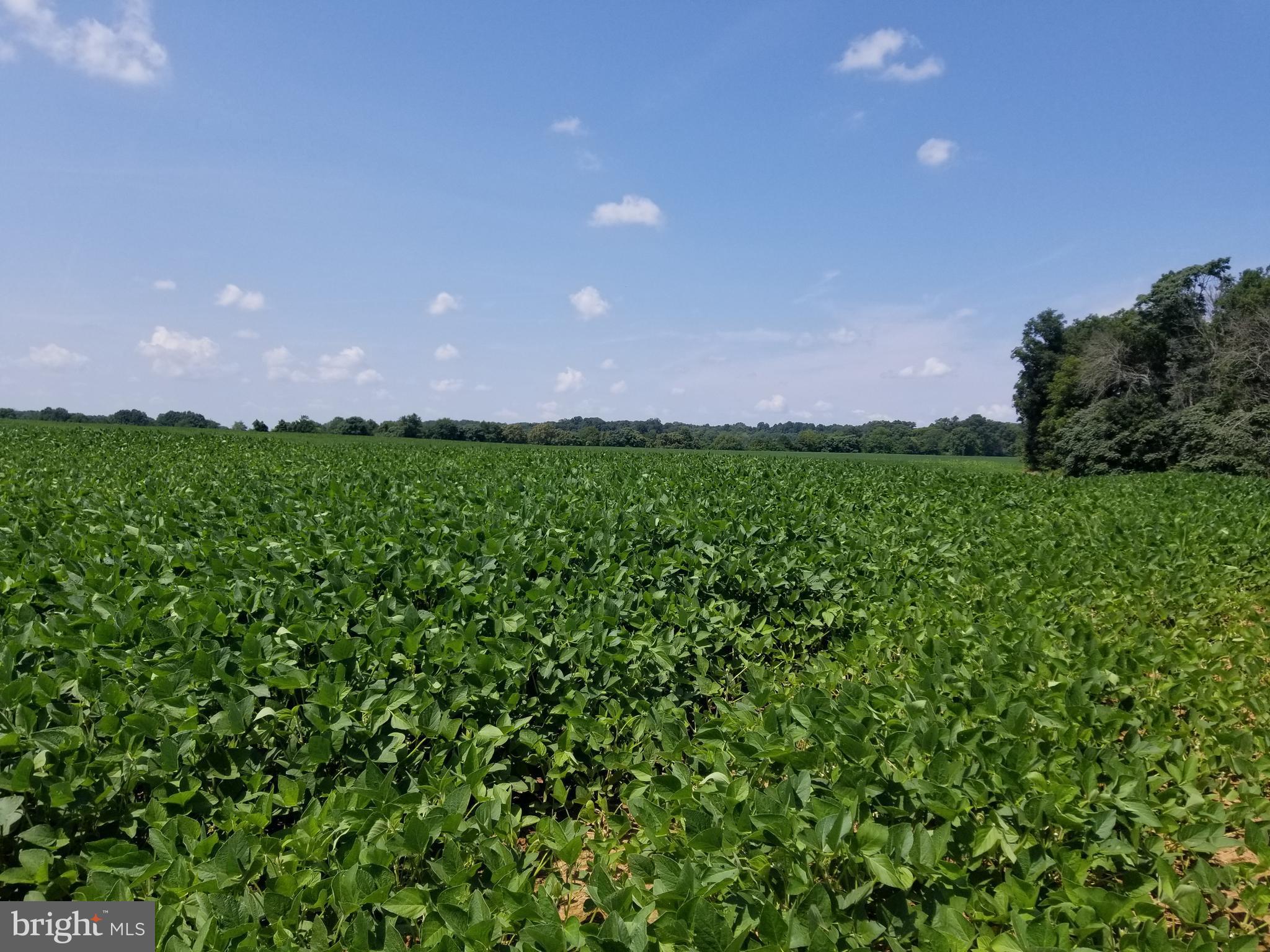 NONE AVAILABLE - Land