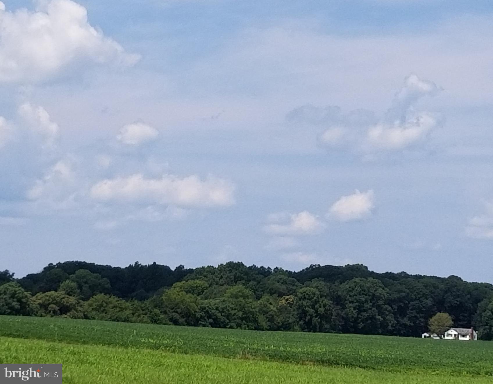 NONE AVAILABLE - Land