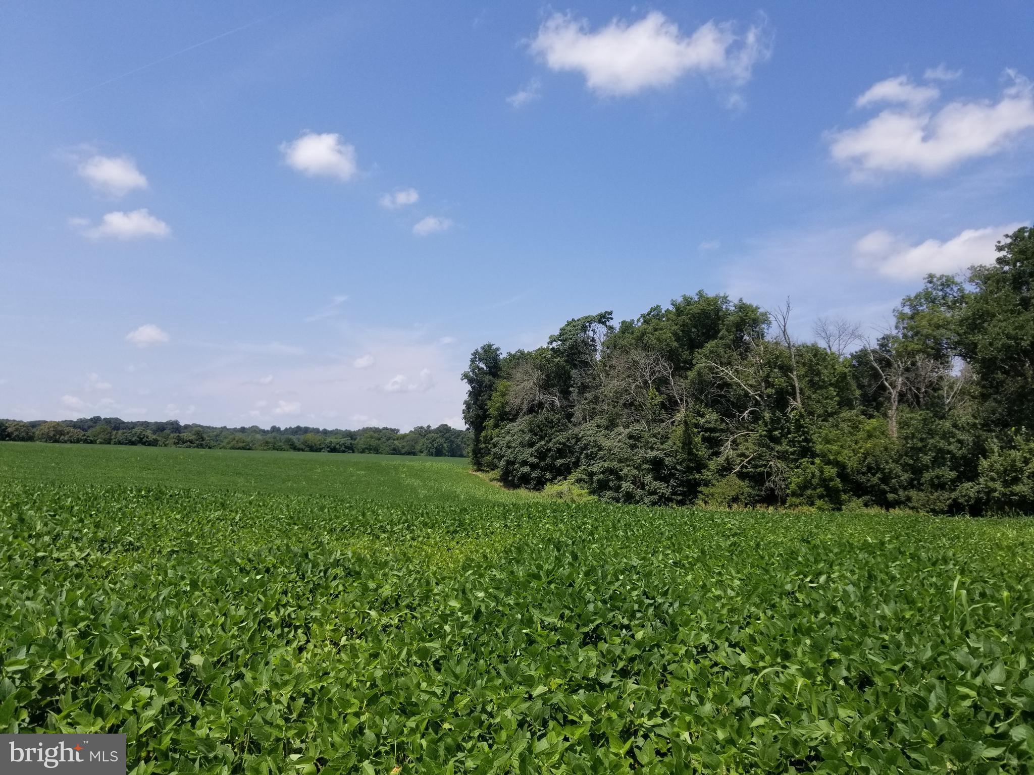 NONE AVAILABLE - Land