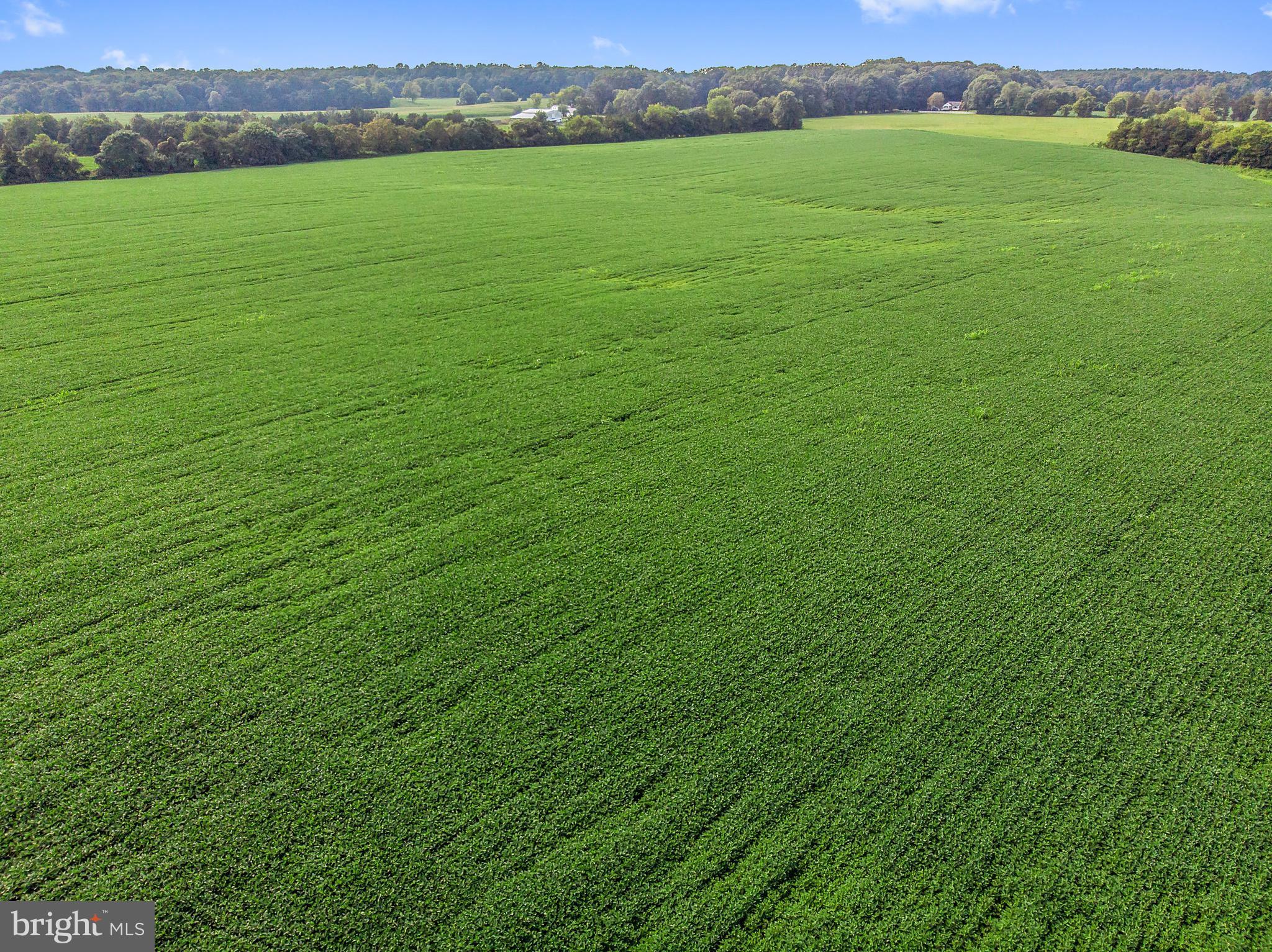 NONE AVAILABLE - Land