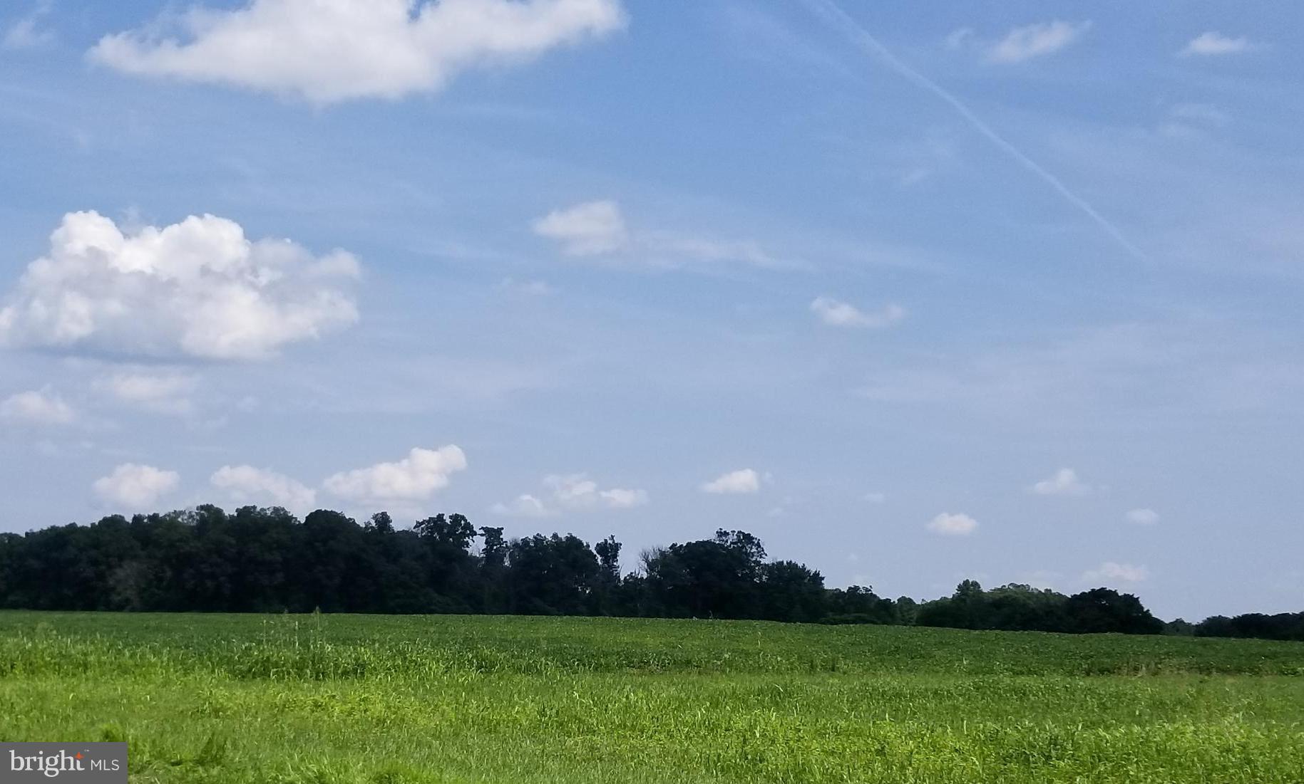 NONE AVAILABLE - Land