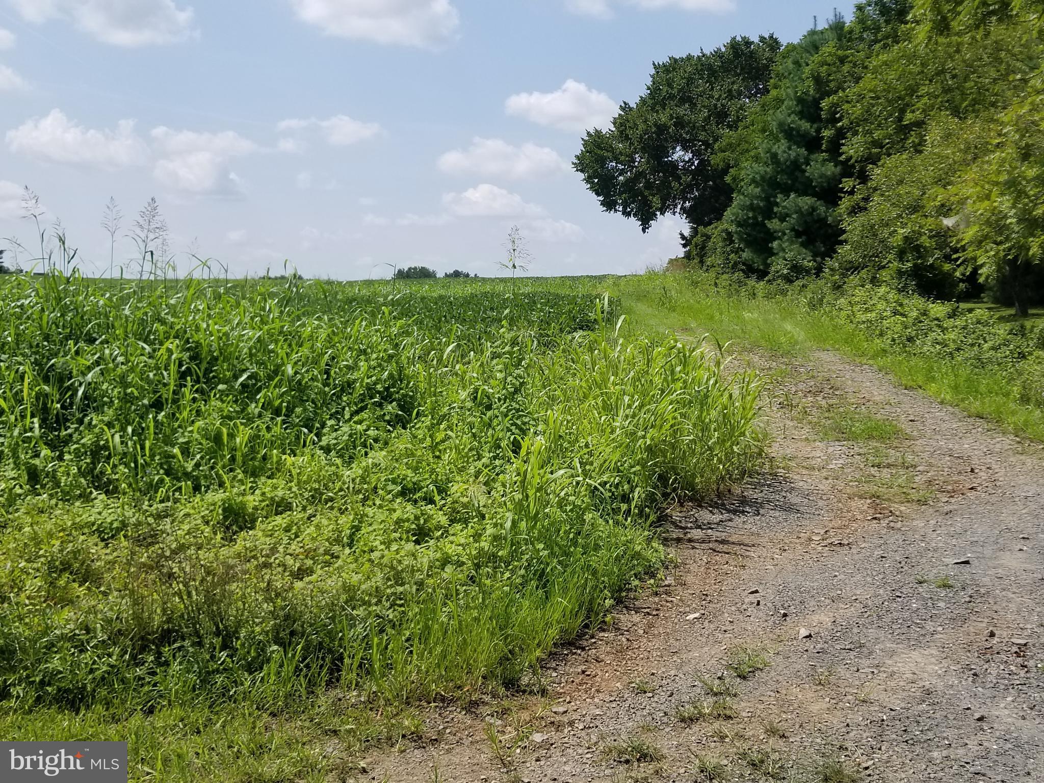 NONE AVAILABLE - Land