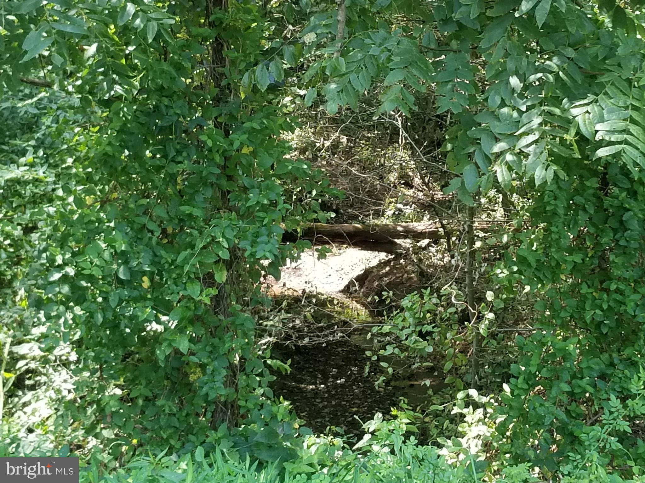 NONE AVAILABLE - Land