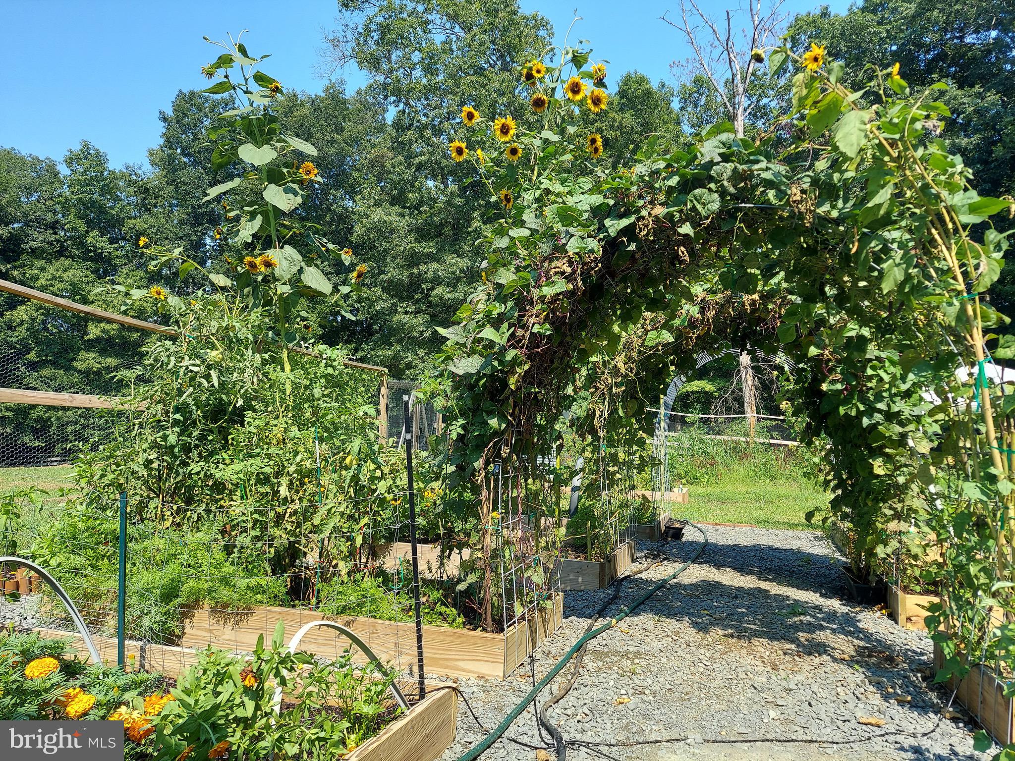 RAPPAHANNOCK RIDGE ESTATES - Residential