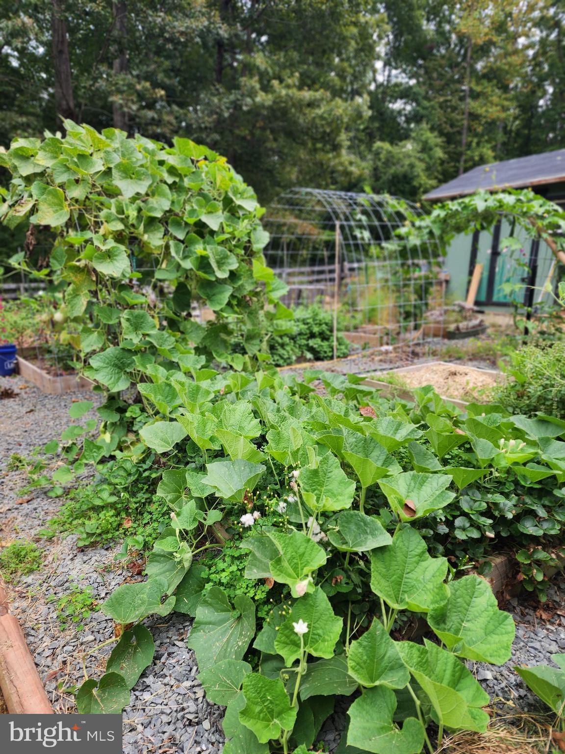 RAPPAHANNOCK RIDGE ESTATES - Residential