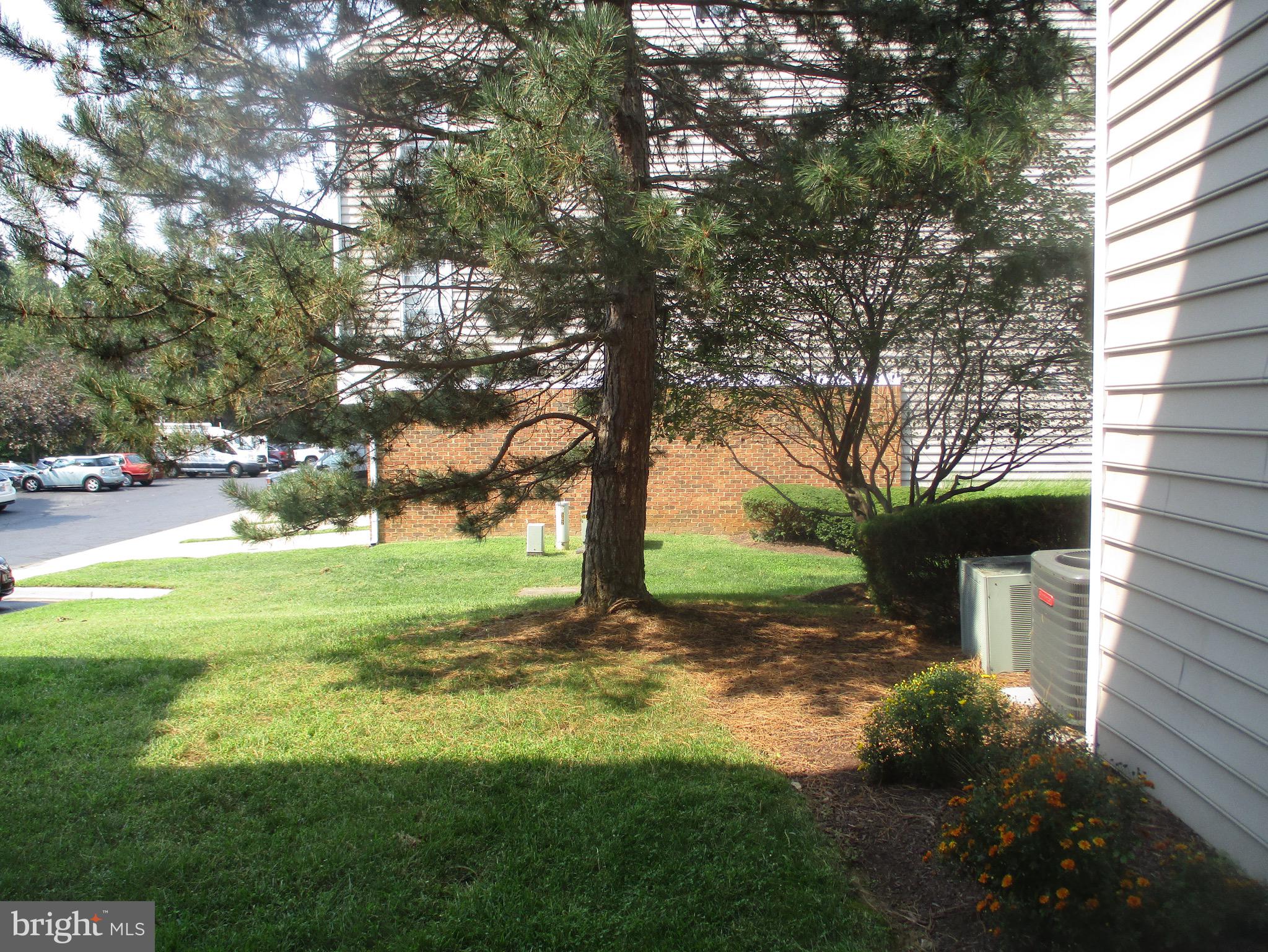 TIDEWATER COLONY - Residential Lease