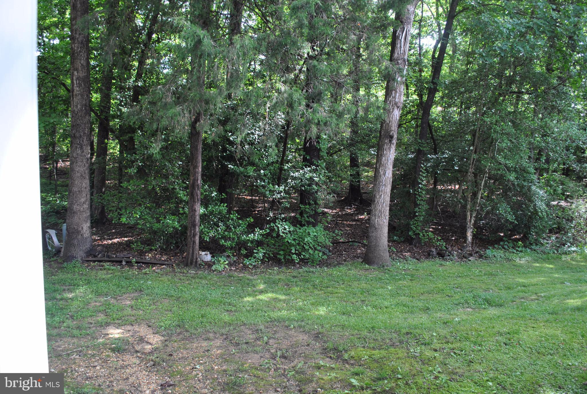 ORCHID PARK OF WILDEWOOD - Residential