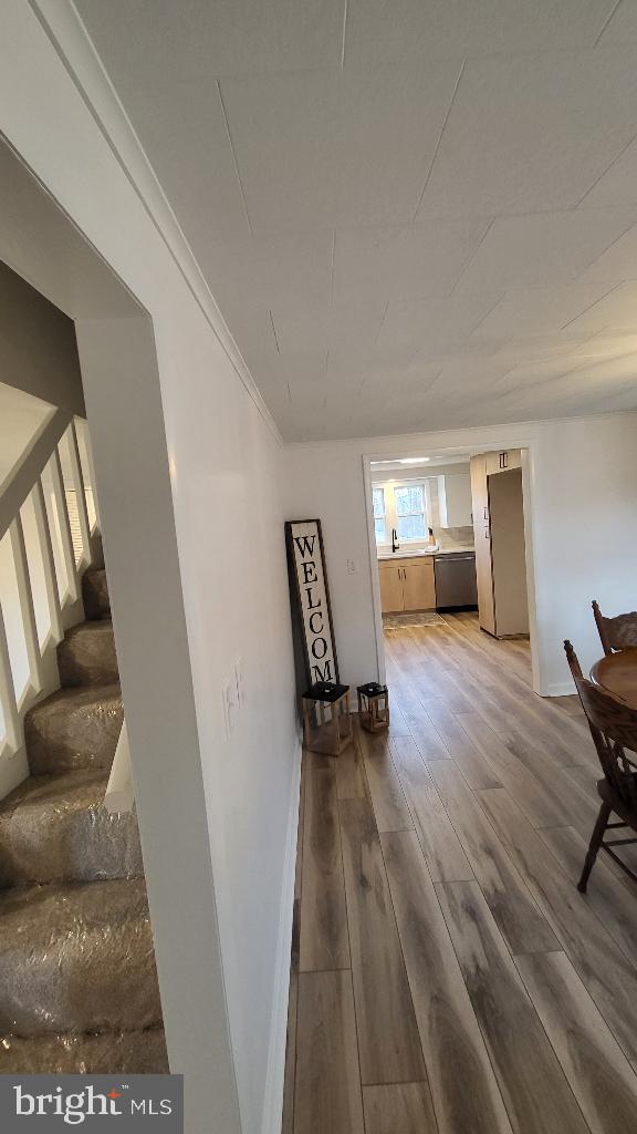 CARPENDALE - Residential