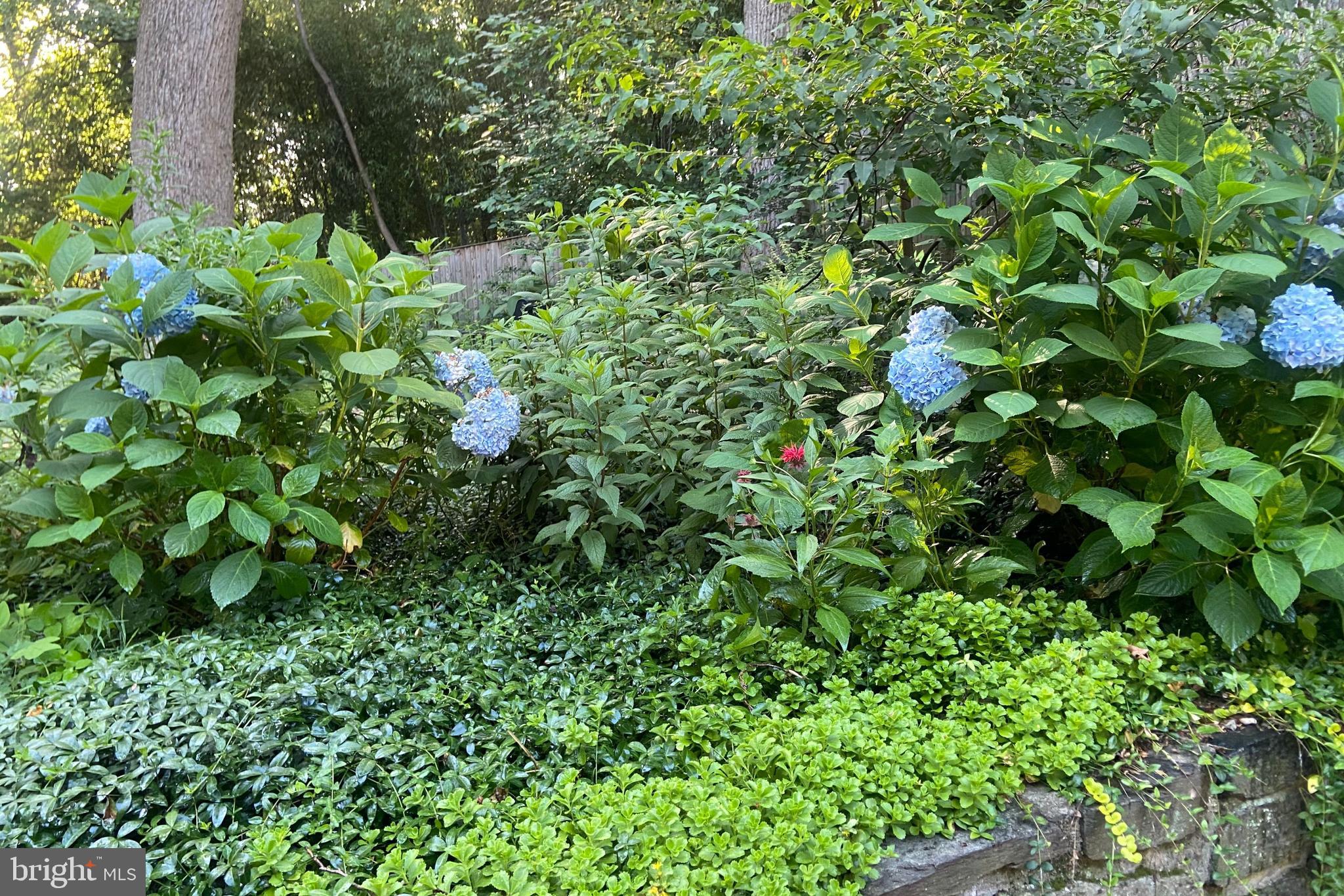 NORTH HILLS - Residential