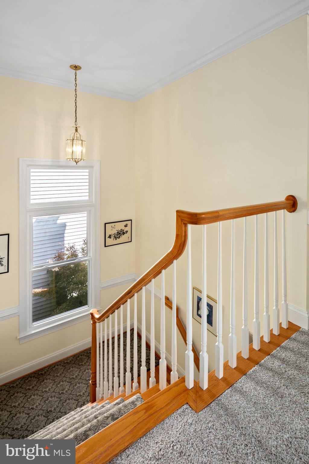 NEW ALEXANDRIA - Residential