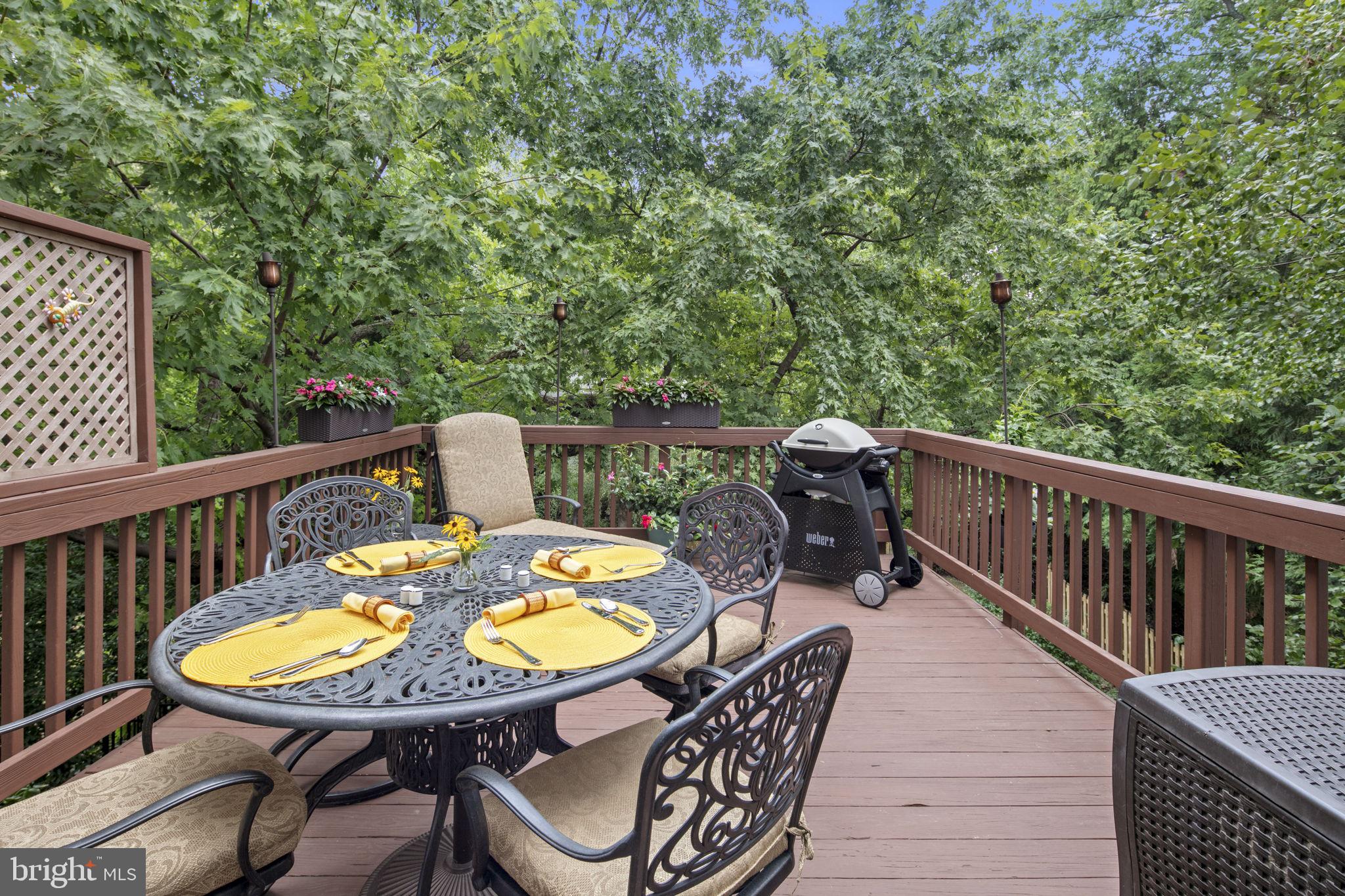 NEW ALEXANDRIA - Residential