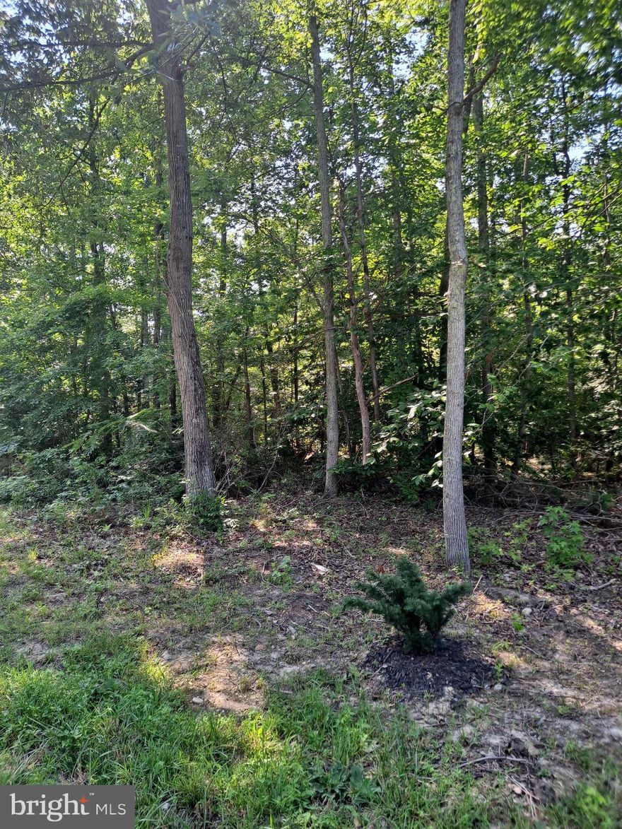 This Land is 6.7500 Acres and situated in a serene environment and ready for that envisioned Buyer . Please contact Charles county for information on Use / Permission .