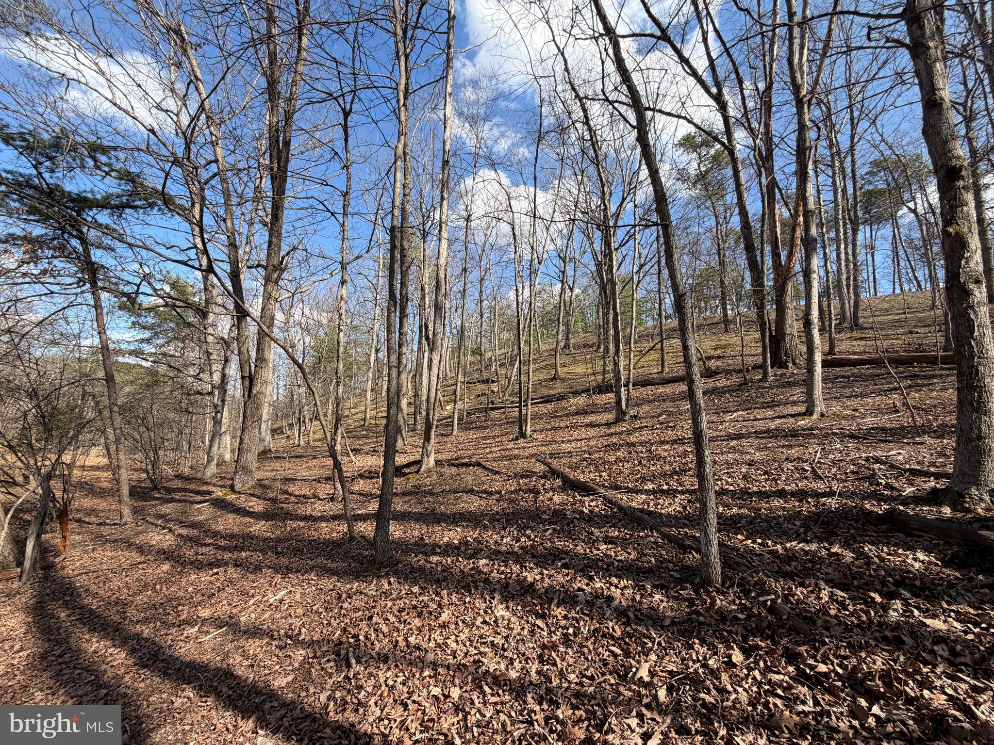 HAMILTON ESTATES - Land