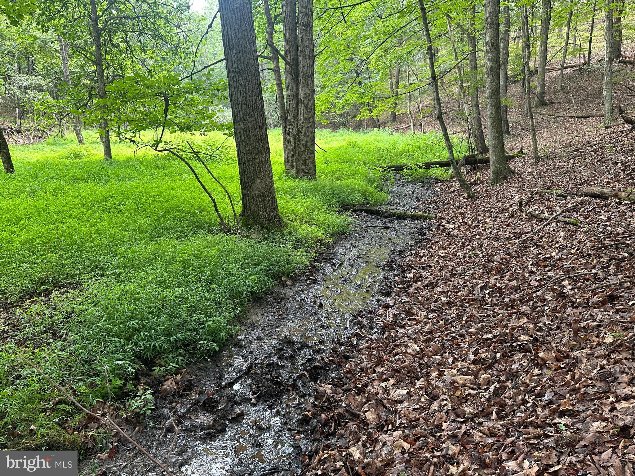 HAMILTON ESTATES - Land