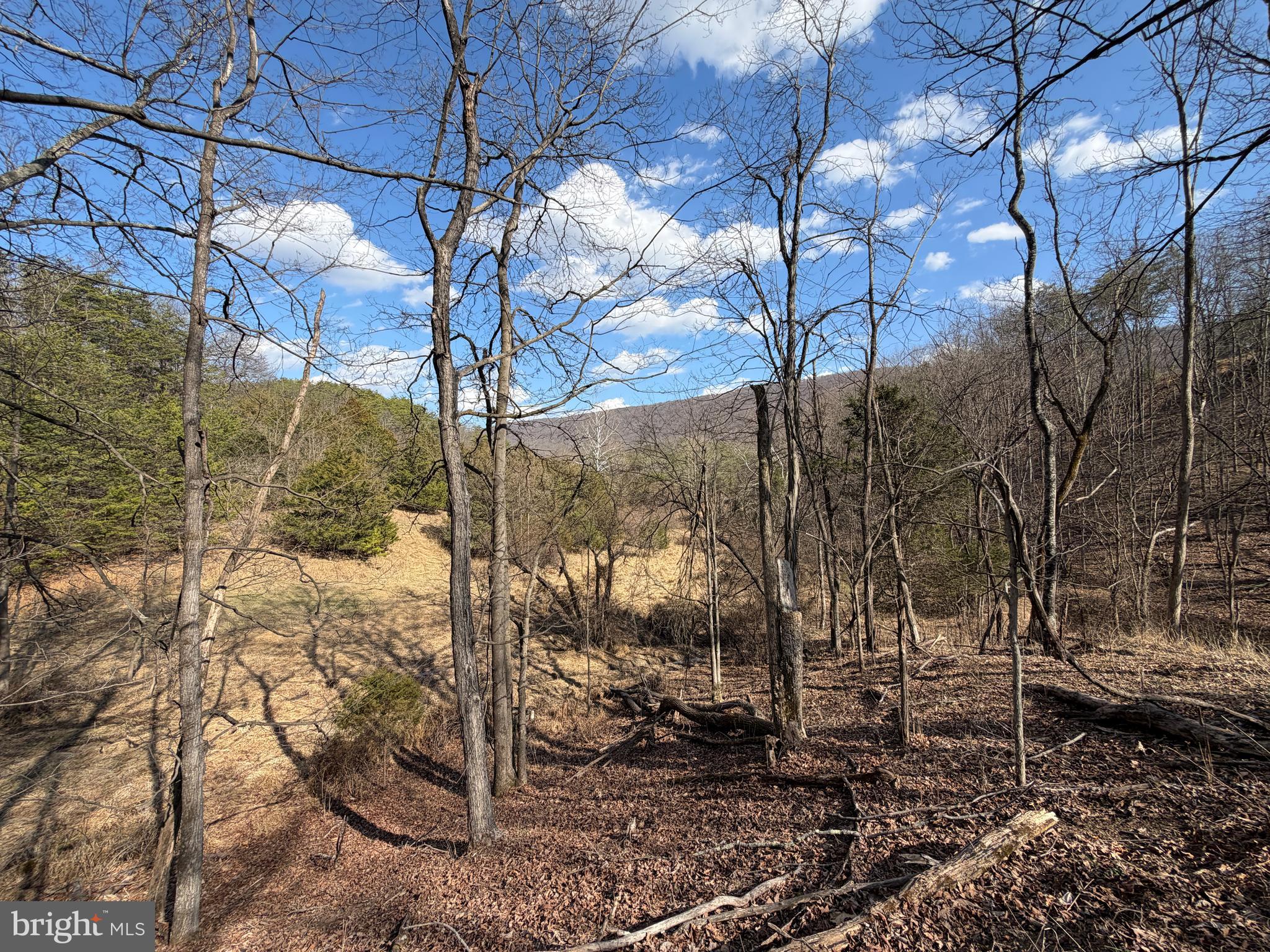 HAMILTON ESTATES - Land