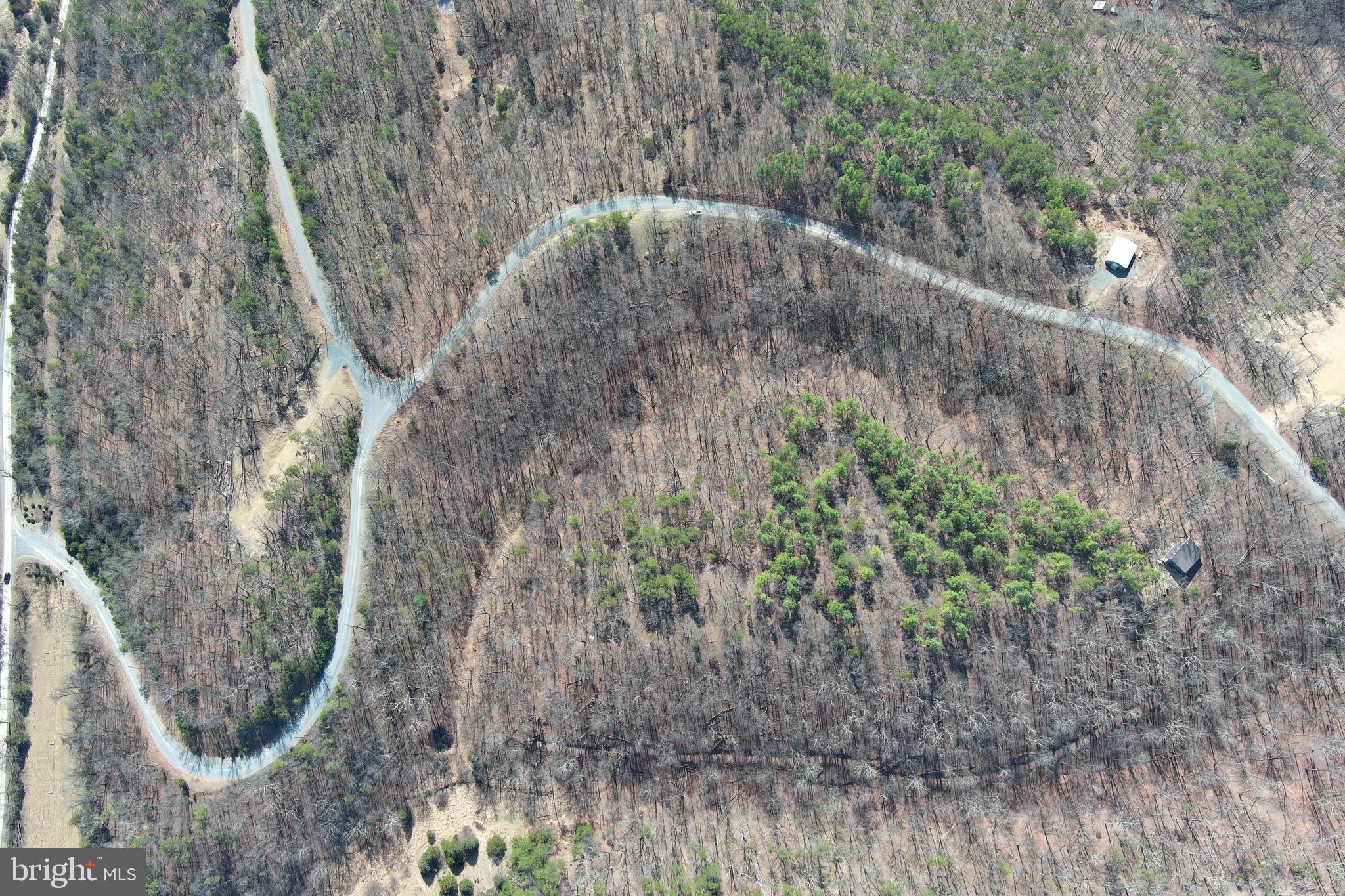 HAMILTON ESTATES - Land